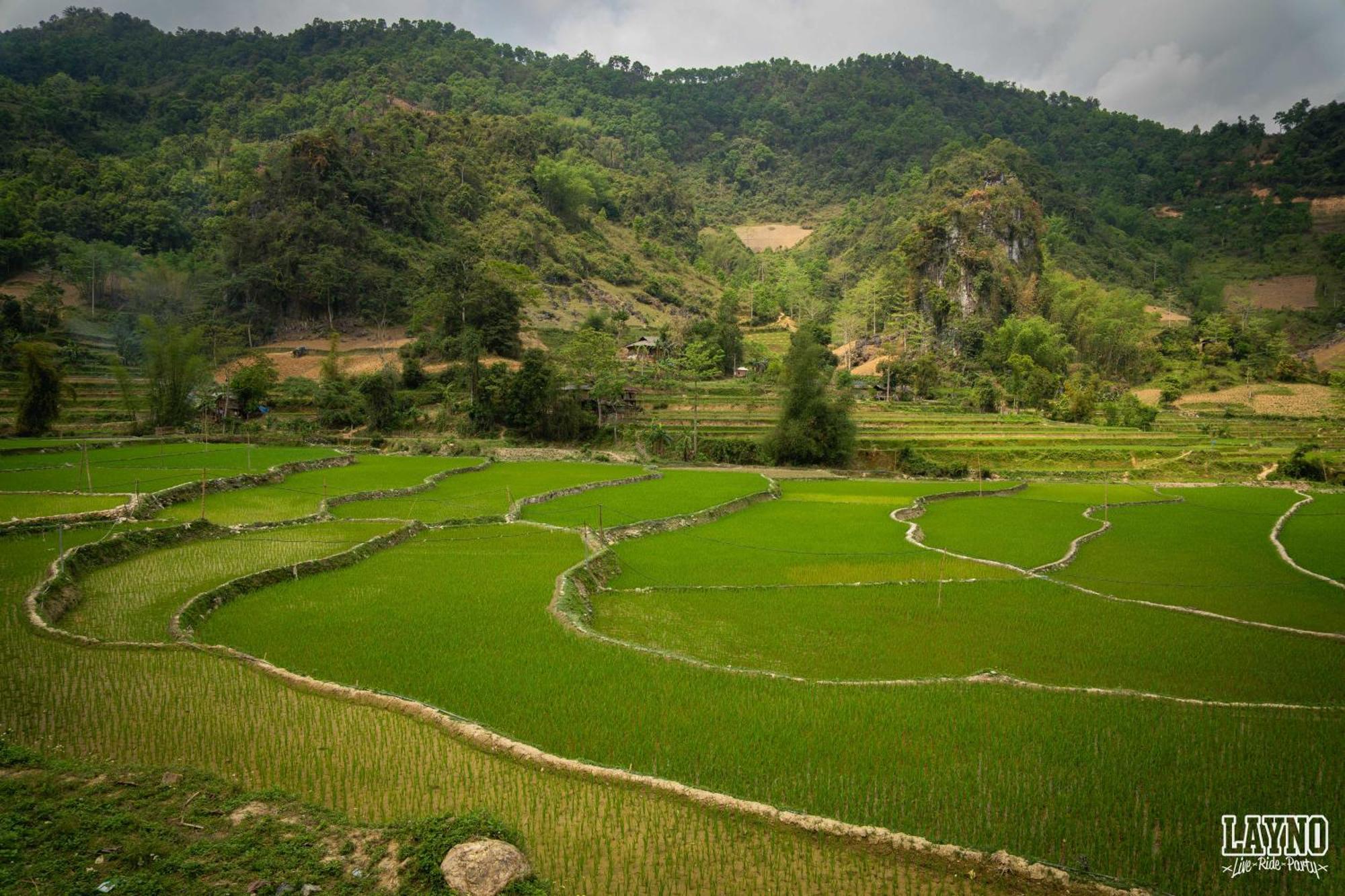 Quiri Hostel Ha Giang Lang Lap Dış mekan fotoğraf
